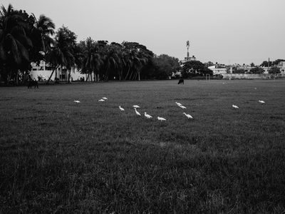Landscape, black and white photo shot on a Fujifilm X100V, October 2022.