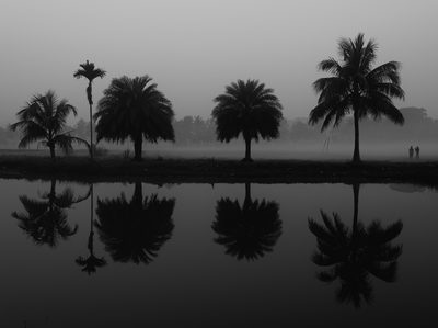 Landscape, black and white photo shot on a Fujifilm X100V, December 2022.