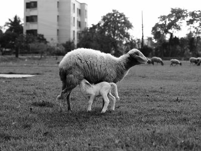 Street and documentary, black and white shot on a Fujifilm X-E4, March 2022.