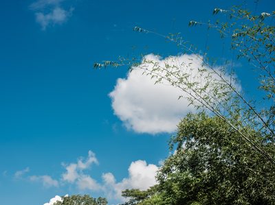 Landscape photo shot on a Fujifilm X100V, October 2022.