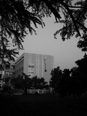 Low light, black and white photo shot on a Fujifilm X100V, October 2022.