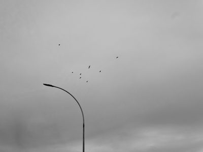 Landscape, black and white shot on a Fujifilm X-Pro3, October 2025.