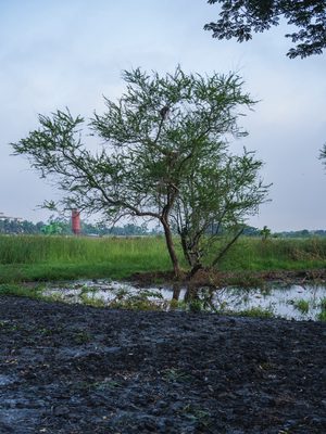 Landscape shot on a Fujifilm X-T3, July 2022.